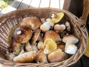 Klikni pro velký obrázek