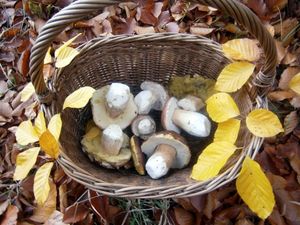 Klikni pro velký obrázek