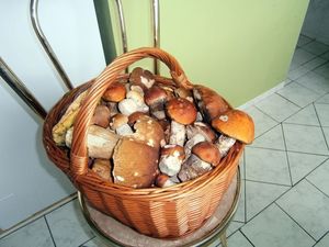 Klikni pro velký obrázek