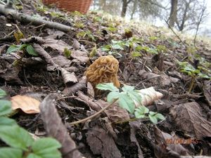 Klikni pro velký obrázek