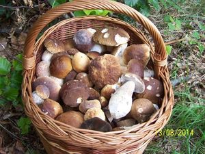 Klikni pro velký obrázek