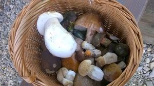 Klikni pro velký obrázek