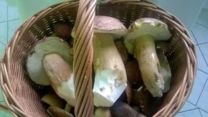 Klikni pro velký obrázek