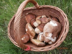 Klikni pro velký obrázek