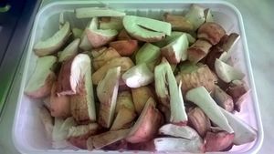 Klikni pro velký obrázek