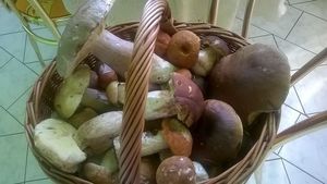 Klikni pro velký obrázek