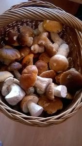 Klikni pro velký obrázek