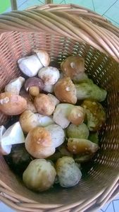 Klikni pro velký obrázek