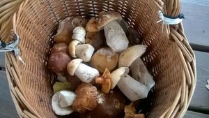 Klikni pro velký obrázek