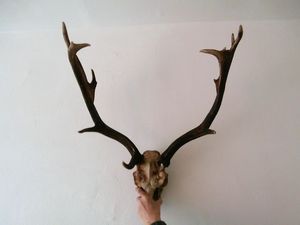 Klikni pro velký obrázek