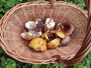 Klikni pro velký obrázek