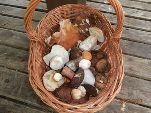 Klikni pro velký obrázek