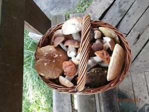 Klikni pro velký obrázek