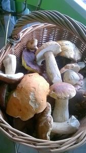 Klikni pro velký obrázek