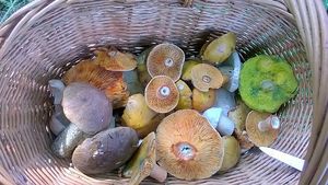 Klikni pro velký obrázek