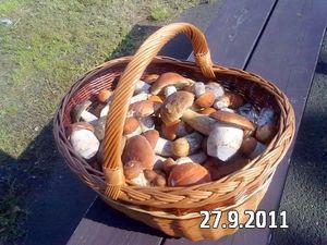 Klikni pro velký obrázek