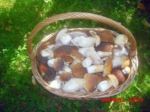 Klikni pro velký obrázek