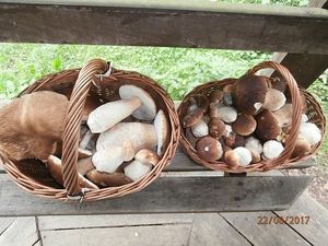 Klikni pro velký obrázek