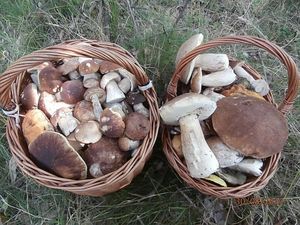 Klikni pro velký obrázek