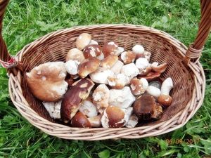 Klikni pro velký obrázek