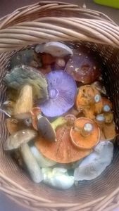 Klikni pro velký obrázek