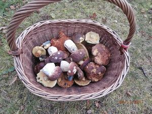 Klikni pro velký obrázek