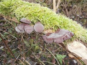 Klikni pro velký obrázek