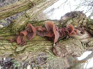 Klikni pro velký obrázek