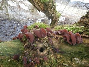 Klikni pro velký obrázek