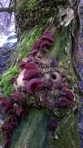 Klikni pro velký obrázek