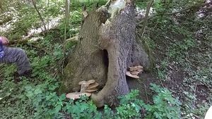 Klikni pro velký obrázek