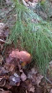 Klikni pro velký obrázek