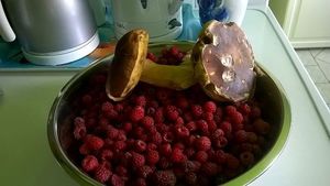 Klikni pro velký obrázek