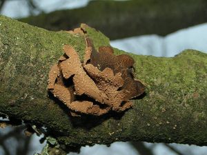 Klikni pro velký obrázek