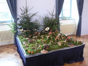 Klikni pro velký obrázek