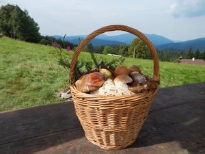 Klikni pro velký obrázek