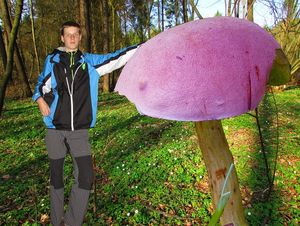 Klikni pro velký obrázek