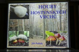 Klikni pro velký obrázek