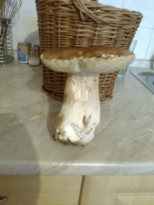 Klikni pro velký obrázek