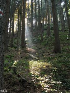 Klikni pro velký obrázek